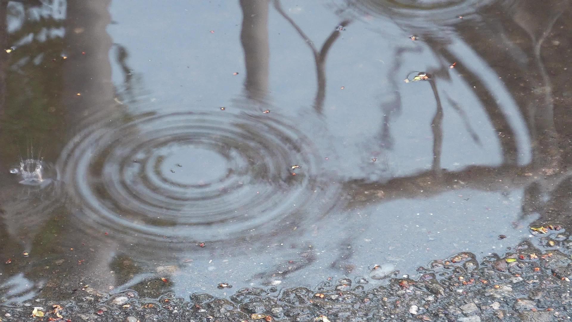 沥青路面小水坑上的雨水产生波纹视频的预览图