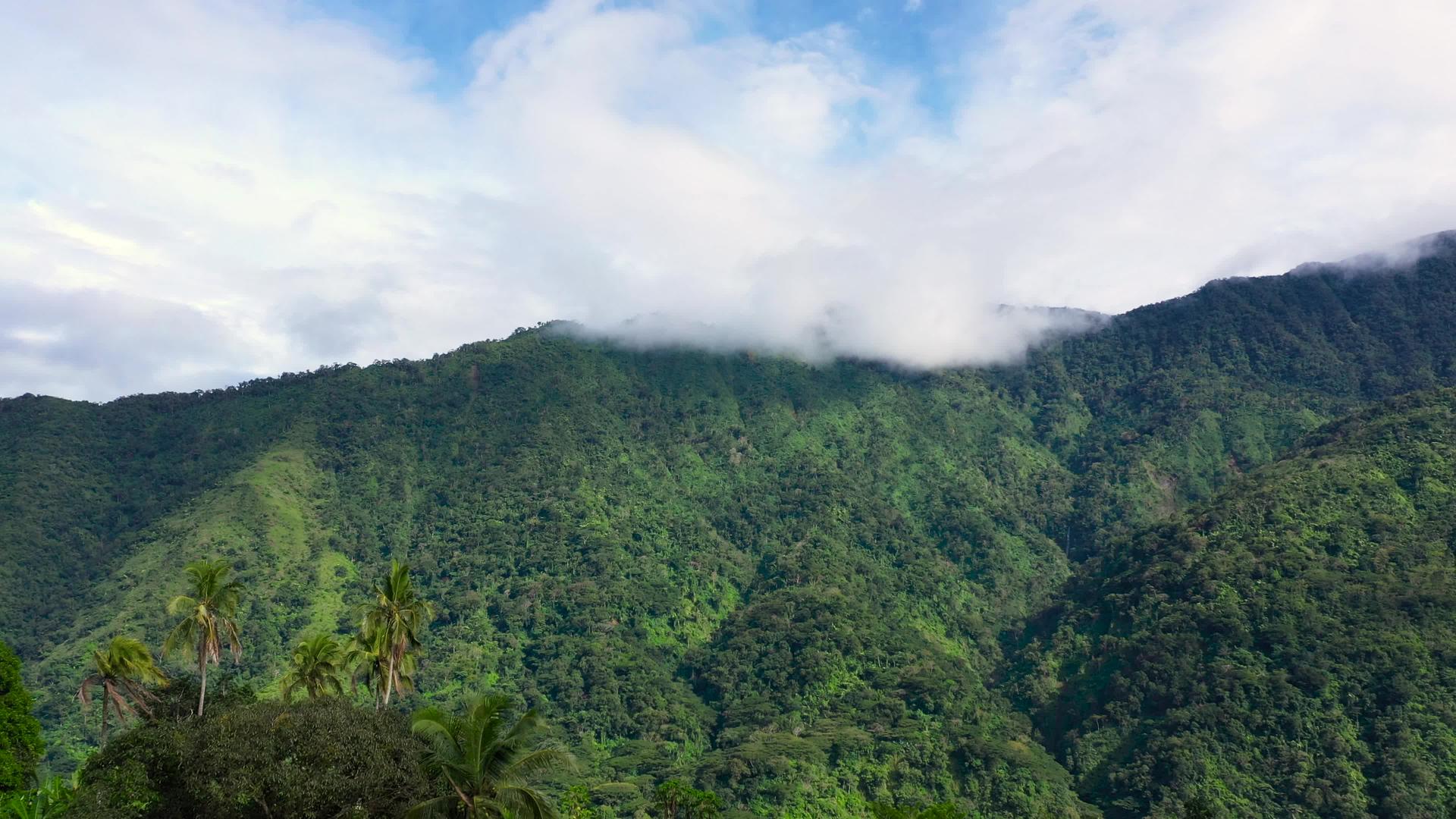 美丽的山景和山峰覆盖着森林的笑声视频的预览图