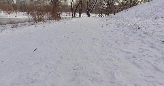 摄像机迅速穿过河边的公园树木在雪地上生长视频的预览图