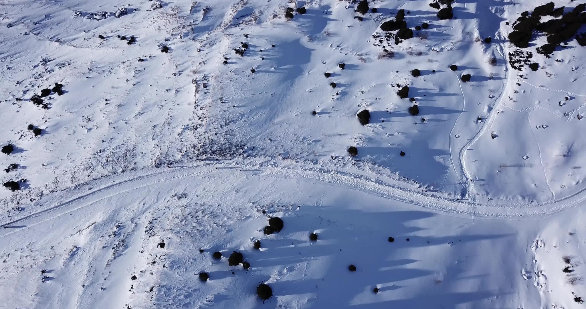 冬季峡谷fir树和一群人视频的预览图