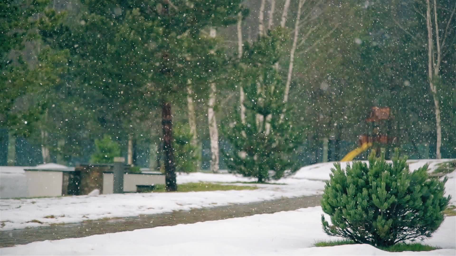 冬天大片片片落雪视频的预览图