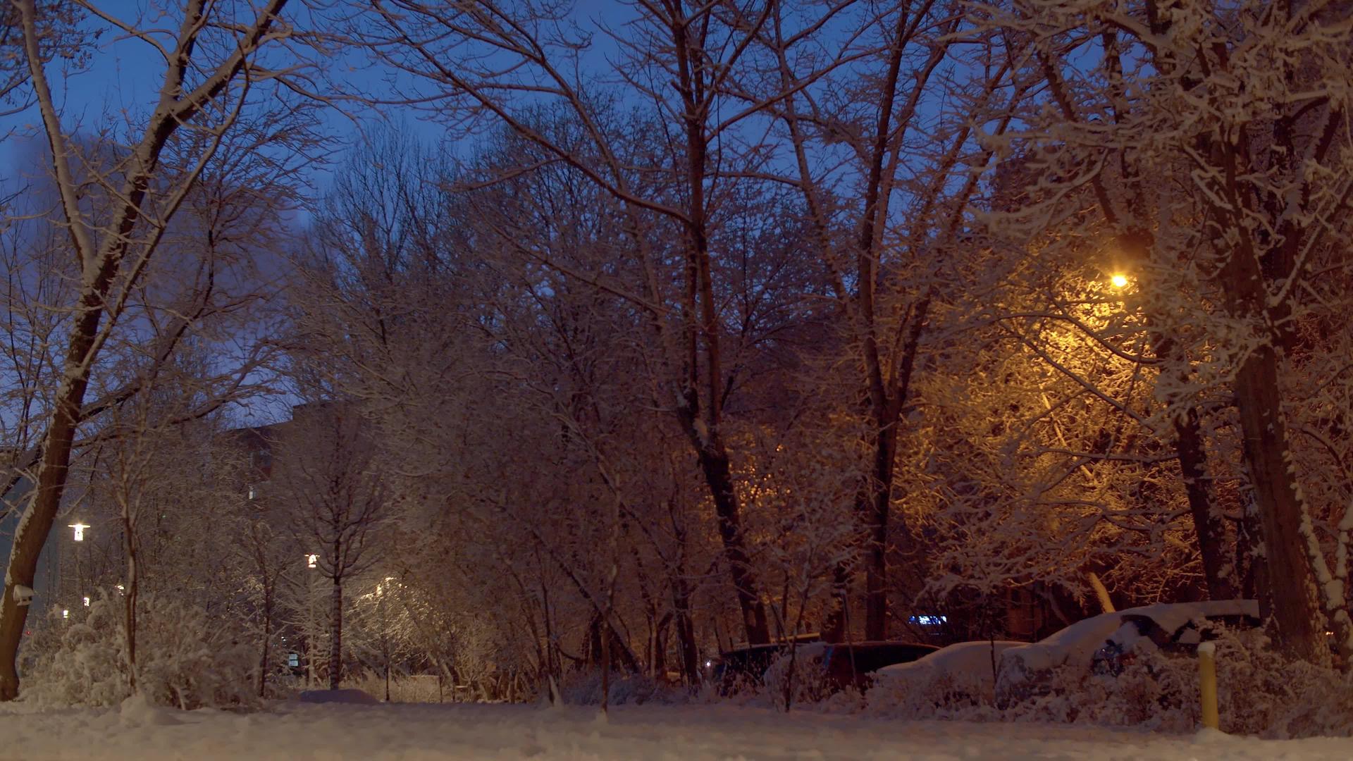 冬季童话城市夜间降雪视频的预览图