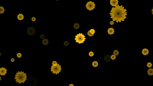 透明通道唯美的向日葵粒子视频素材视频的预览图