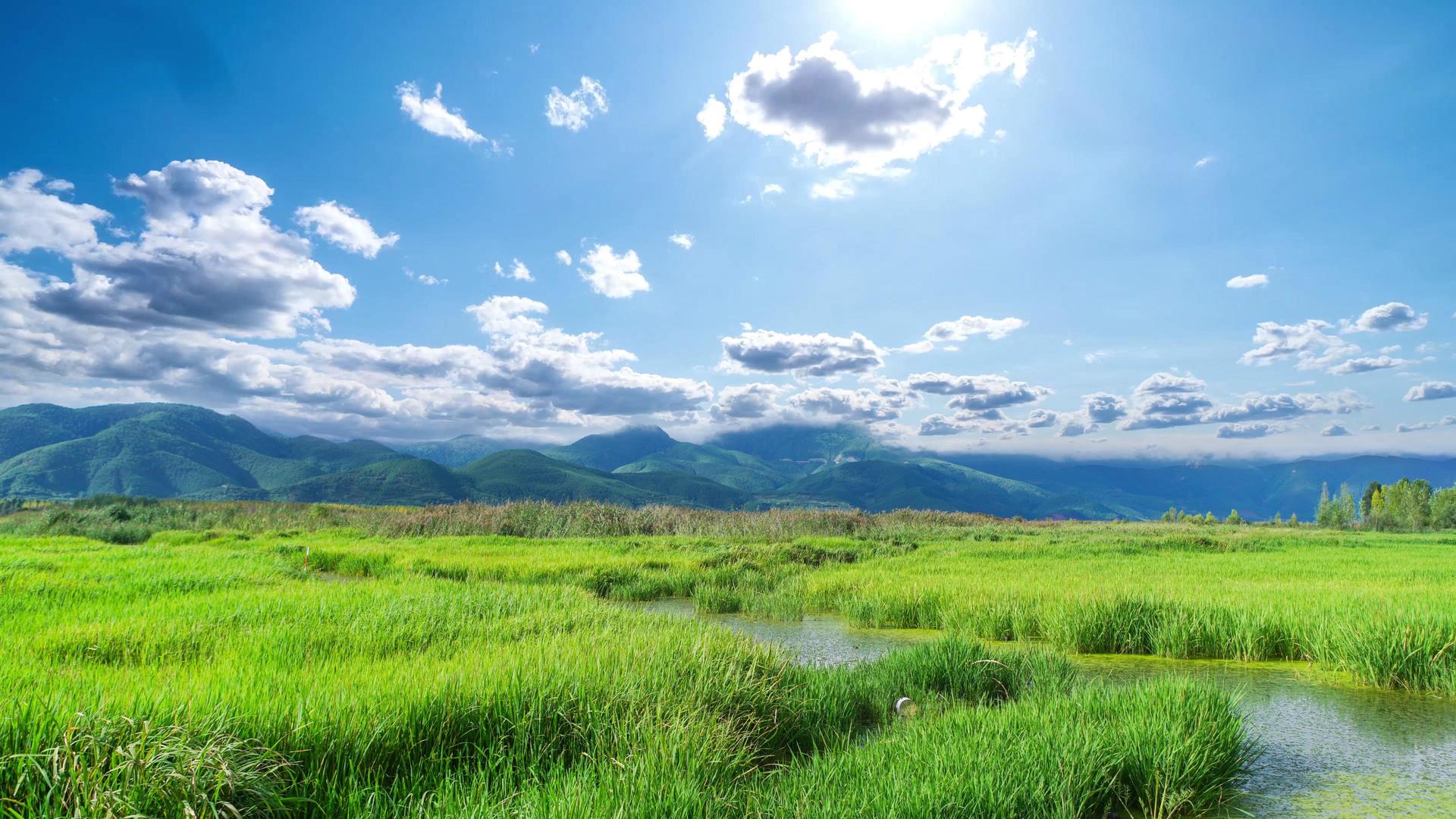 云南地区泸沽湖的草海视频的预览图