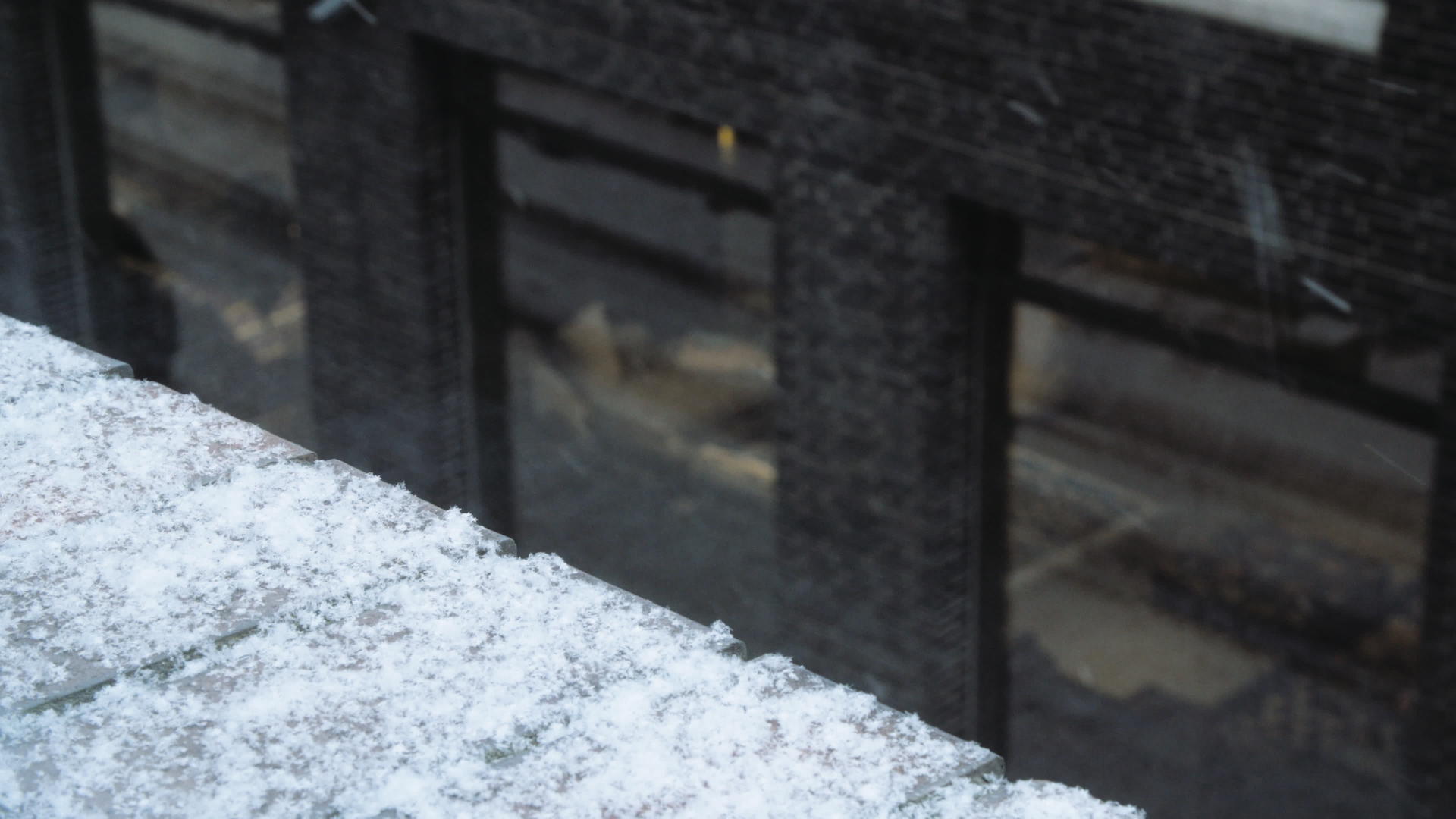 岩燕带雪花视频的预览图