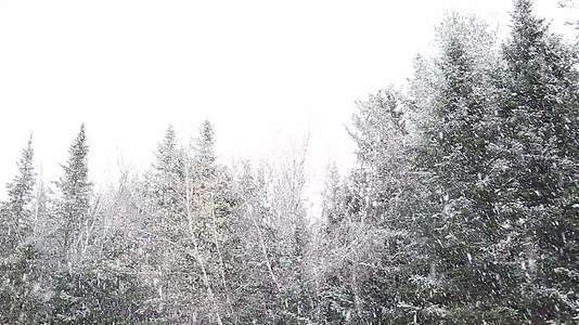 雪从天而降视频的预览图