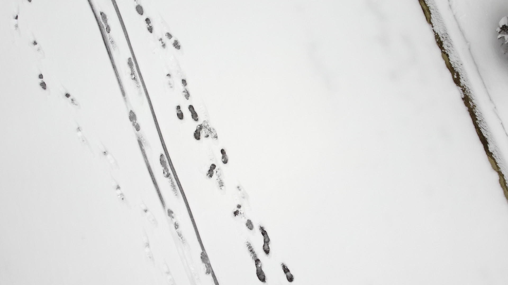 空中无人驾驶飞机在清雪中看到脚印和滑雪痕迹视频的预览图