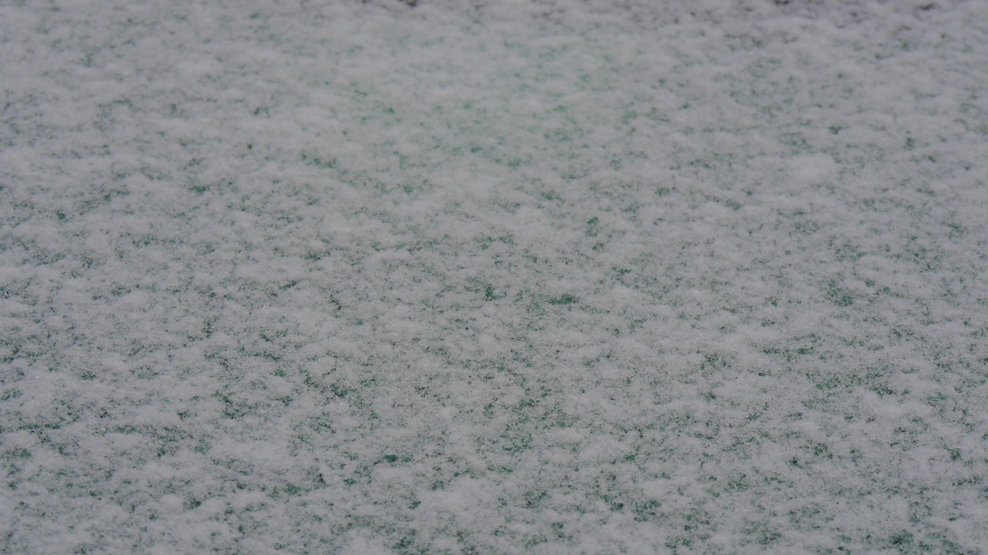 白雪覆盖绿草视频的预览图
