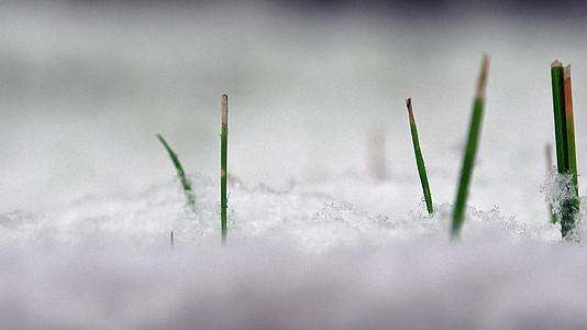 草坪上的雪覆盖了4公里视频的预览图