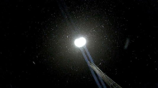 夜间自然降雪的背景是从街道的光线背面倾斜的视频的预览图