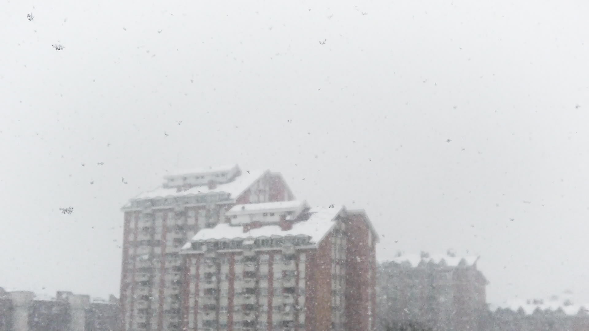 城市中缓慢移动的雪花落在背景中视频的预览图