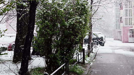 雪花脚印从街上掉下来沥青路上的轮胎轨迹树上的雪花视频的预览图