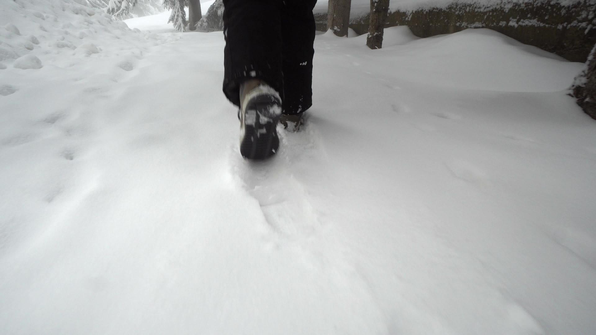 电影制片人在公园的雪地上行走Stadicam漫步秀视频的预览图