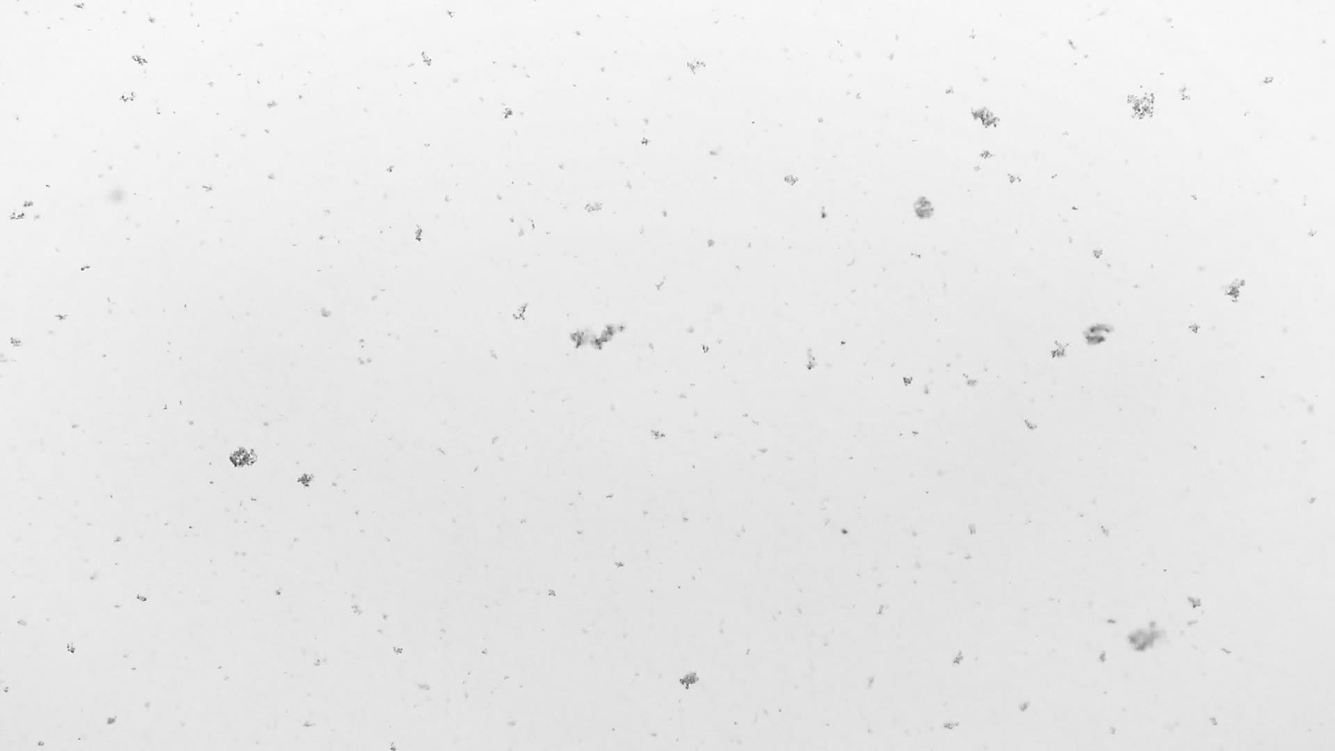 雪花从天而降的慢动视频视频的预览图