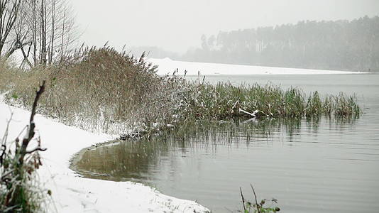 湖上降雪视频的预览图