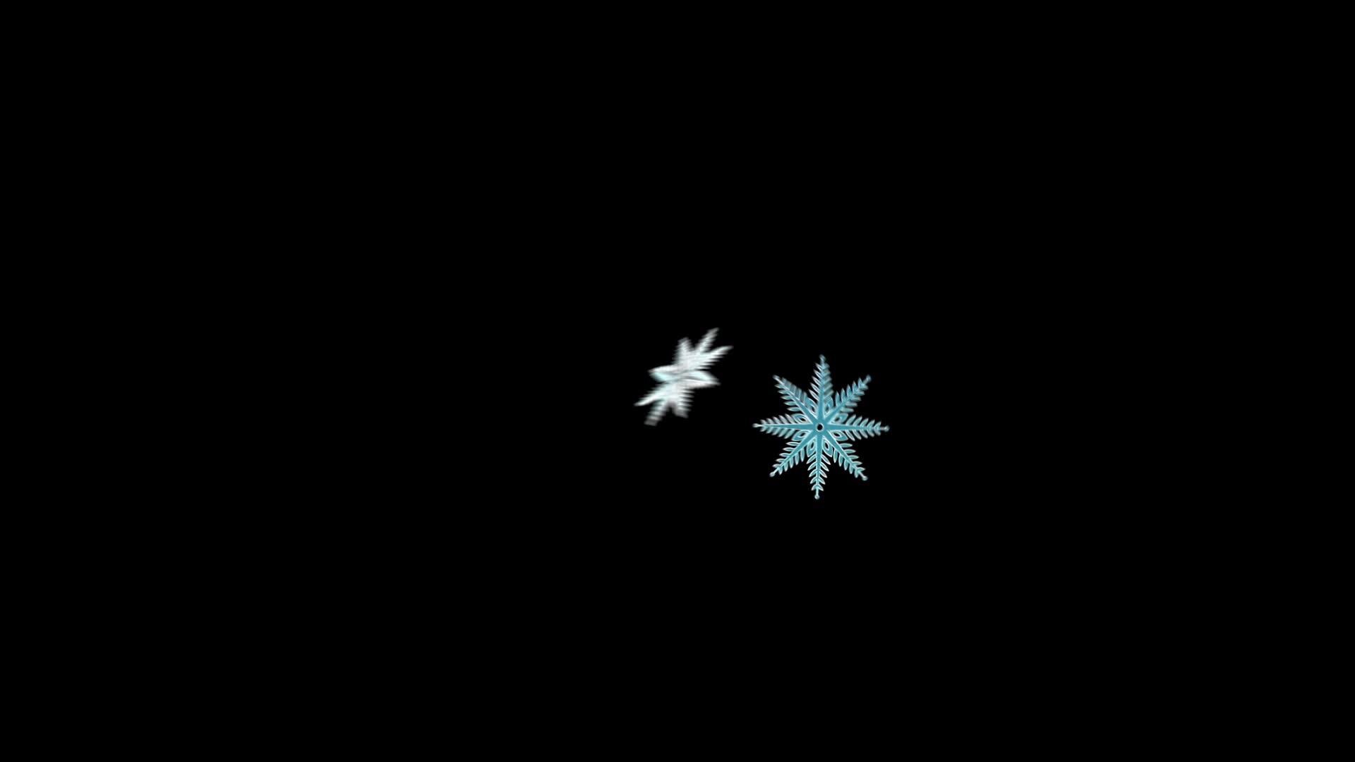 蓝色纹理雪花在黑色背景上的快速外观动画hdhd视频的预览图