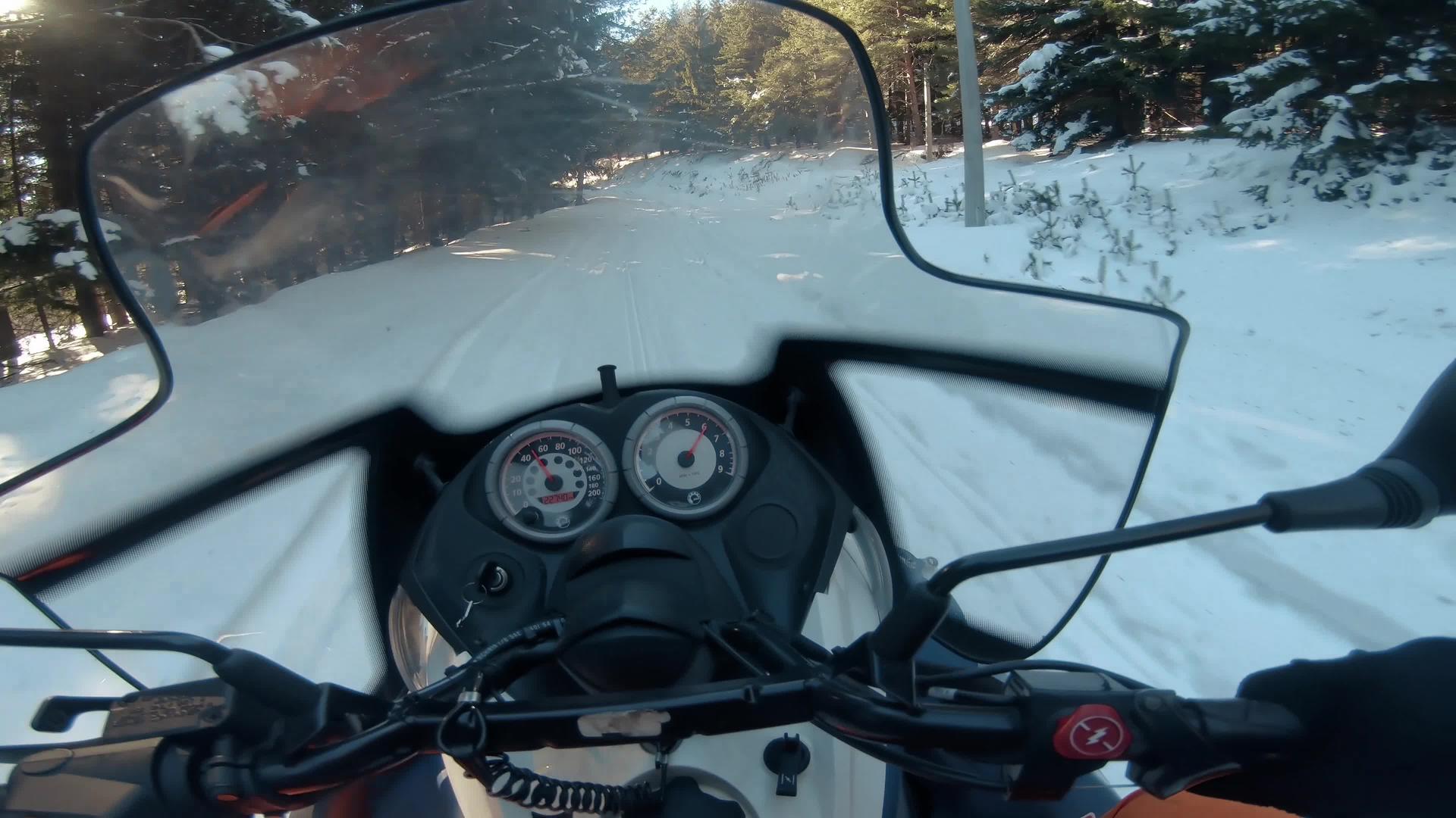 雪地运动在阳光下加速在森林的第一视角视频的预览图