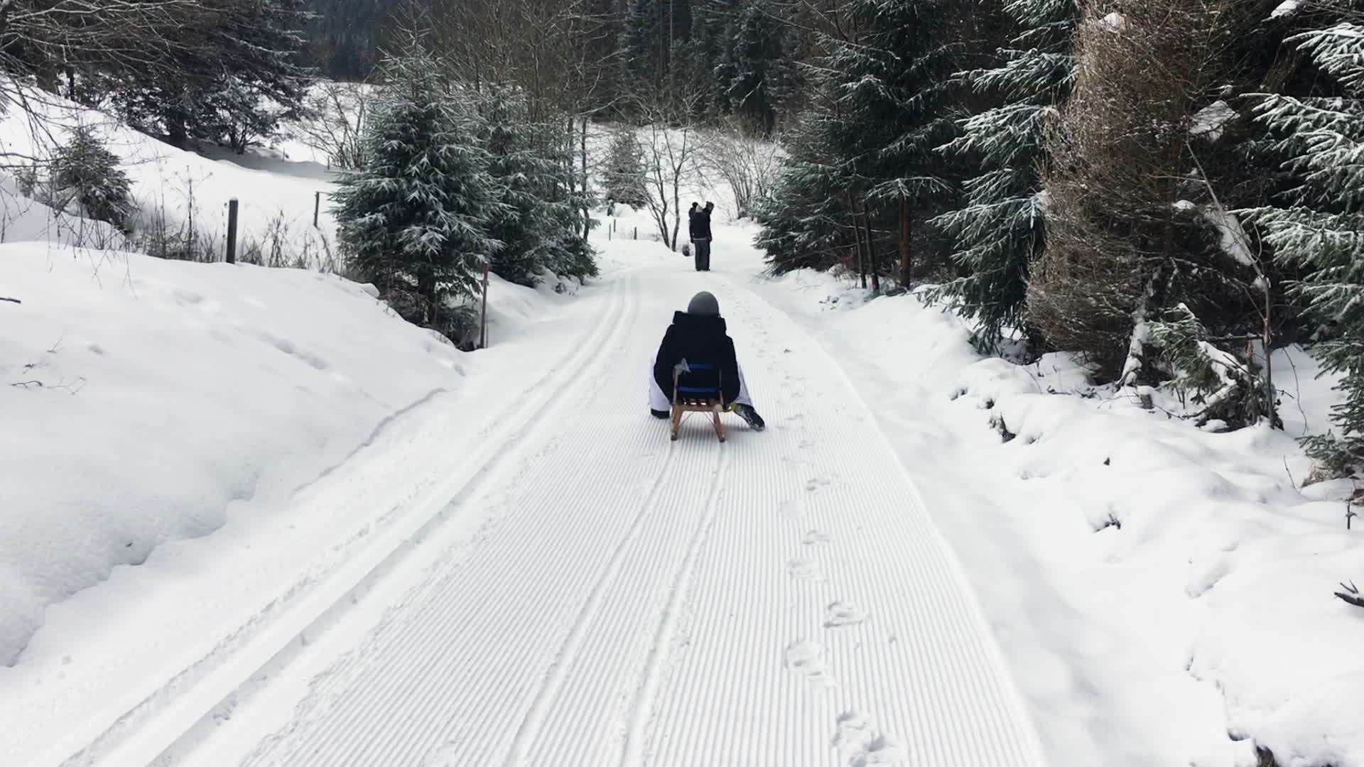 雪橇从雪地下游到自然足迹视频的预览图