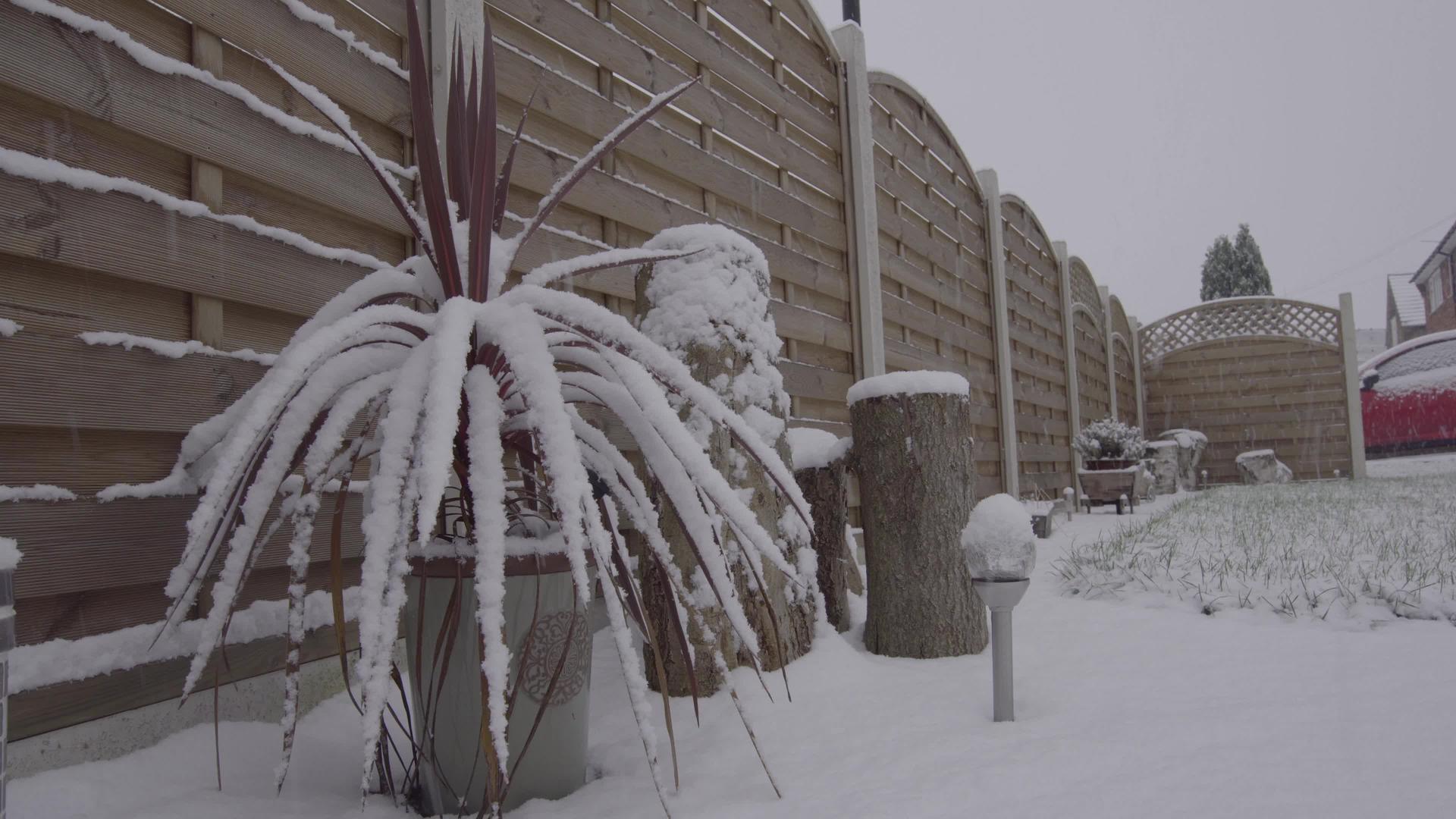 雪花时间倒塌覆盖一个城市花园视频的预览图