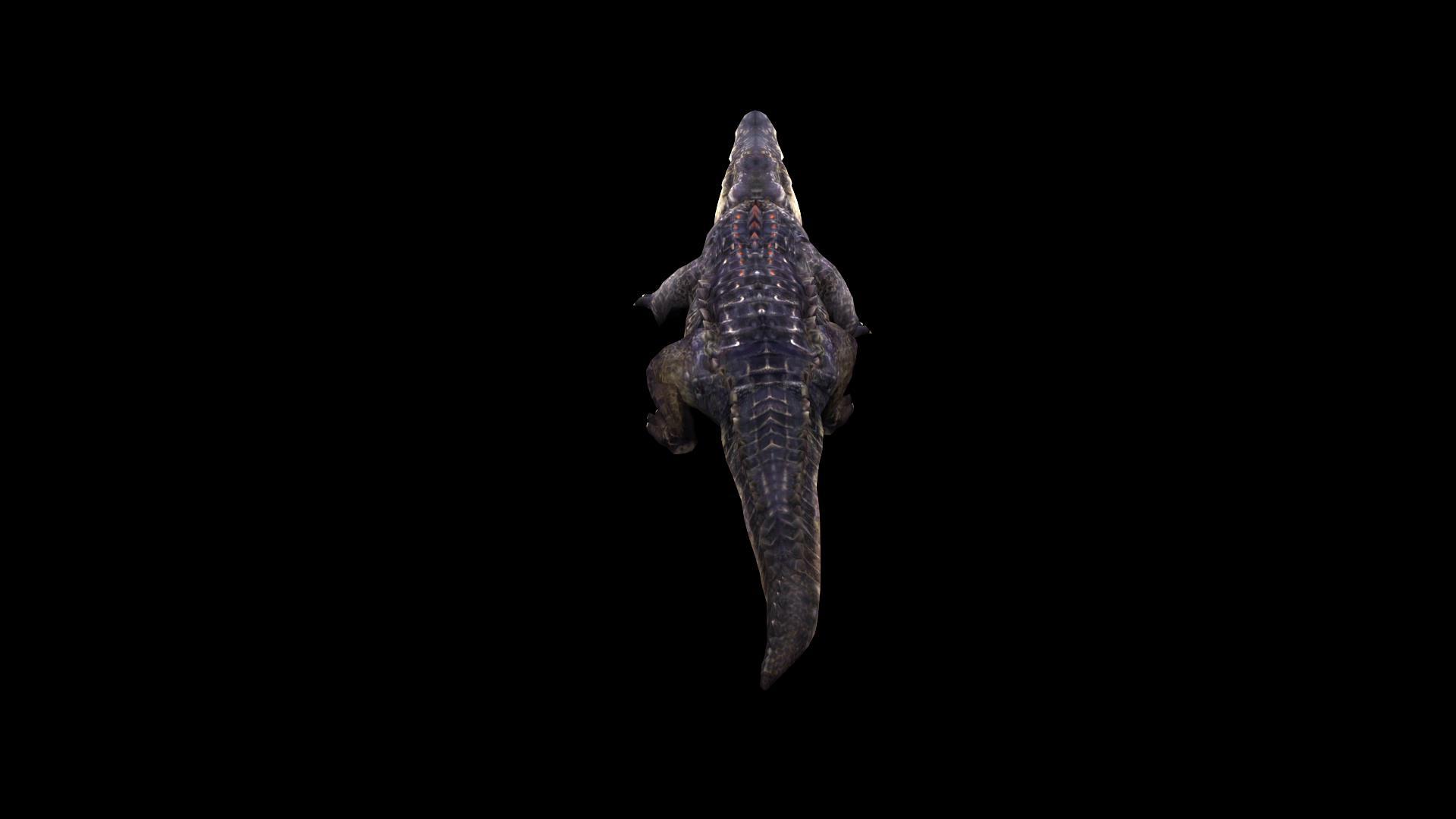 三维鳄鱼动画视频的预览图