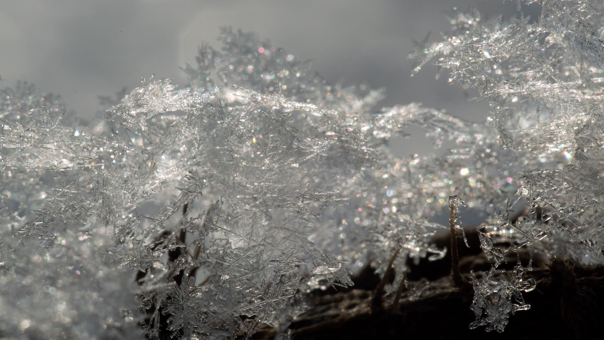 霜冻晶体在阳光下视频的预览图