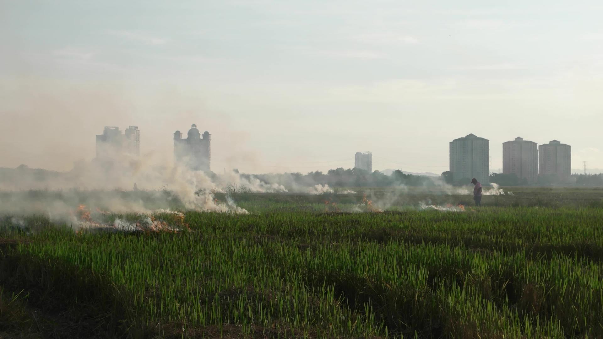 农民放火焚烧露地视频的预览图