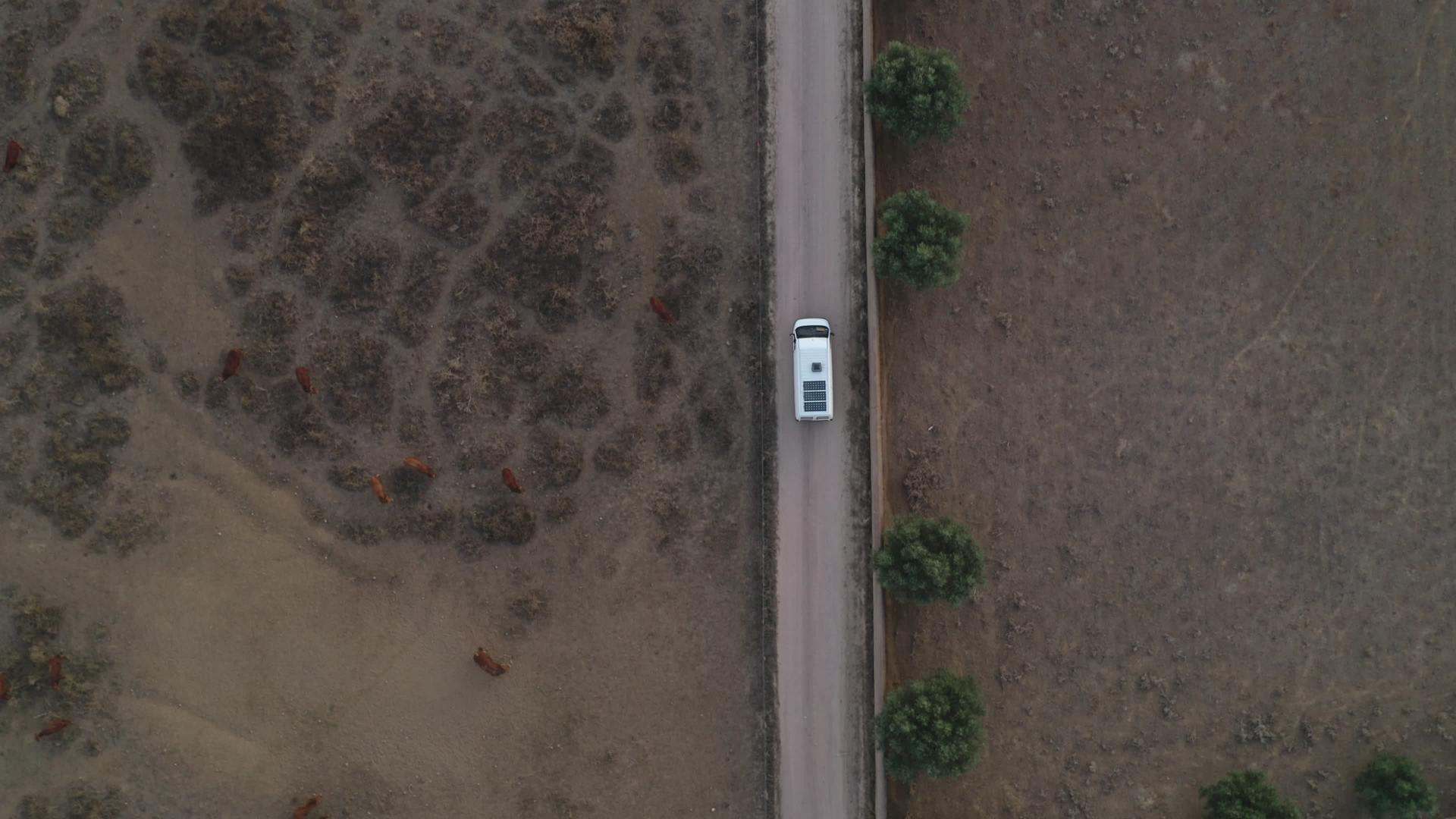 最直观的无人驾驶汽车在农村地貌农田道路和奶牛空中视频的预览图