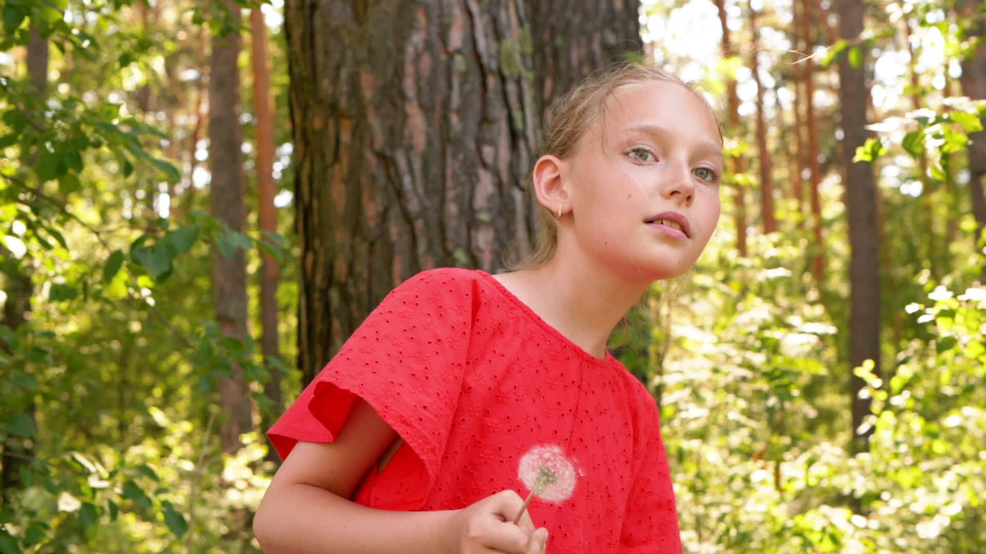 夏天公园里的女孩手里拿着一个白色的花棚年轻的女孩环顾绿色公园视频的预览图