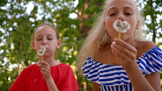 两个十几岁的女孩在夏天在公园里吹白蒲公英在绿色公园里吹白蒲公英视频的预览图