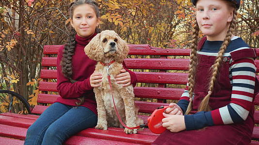 十几岁的女孩朋友和可卡犬坐在秋天公园的长椅上视频的预览图