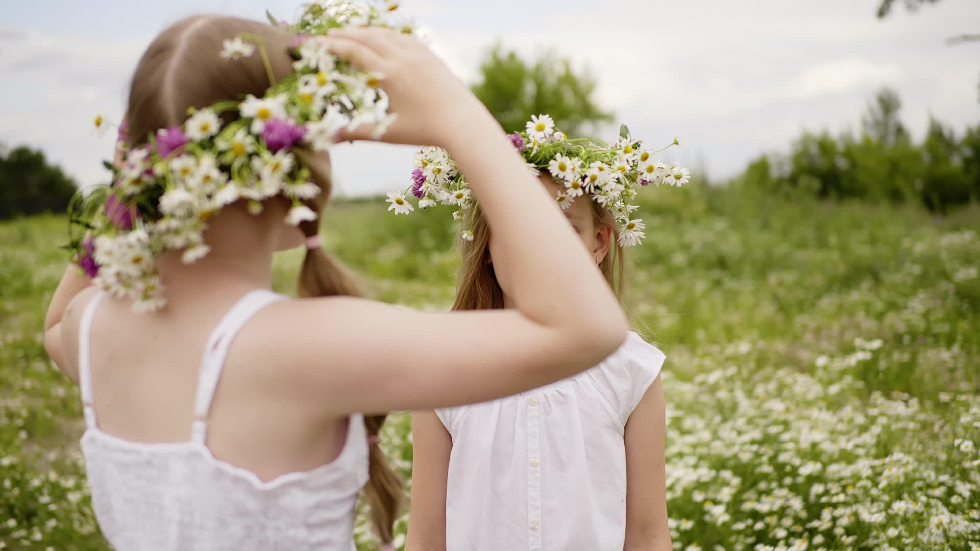 女孩把花圈放在朋友的头上夏天在花草地上散步视频的预览图