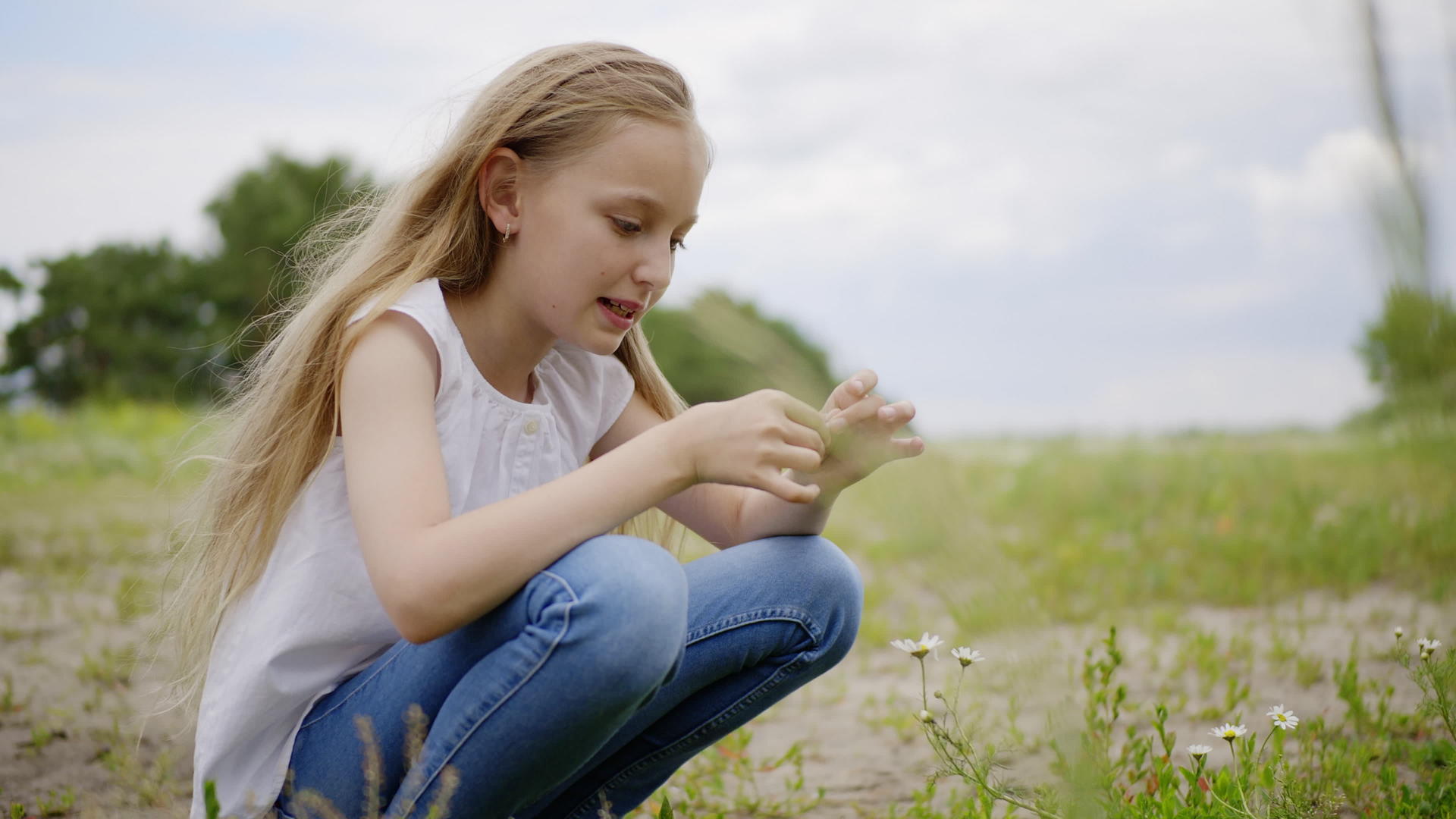 十几岁的女孩在夏天的草坪上采摘雏菊年轻的女孩在夏天采摘雏菊视频的预览图