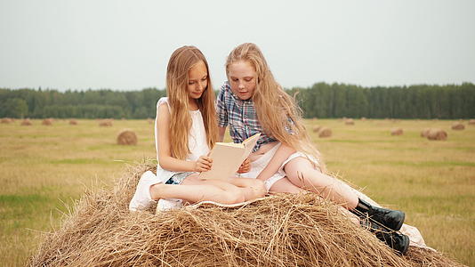 在度假期间青少年女孩读了关于农村田野干草地的书他们很惊讶他们很惊讶视频的预览图