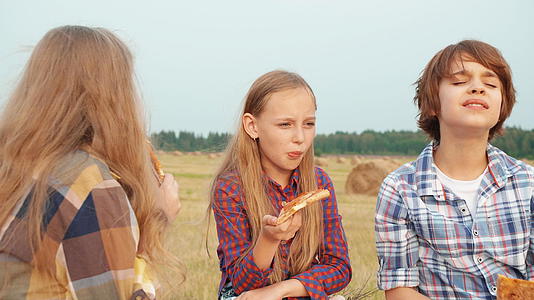 十几岁的朋友在农村野餐时吃披萨快乐的女孩和男孩在农村视频的预览图