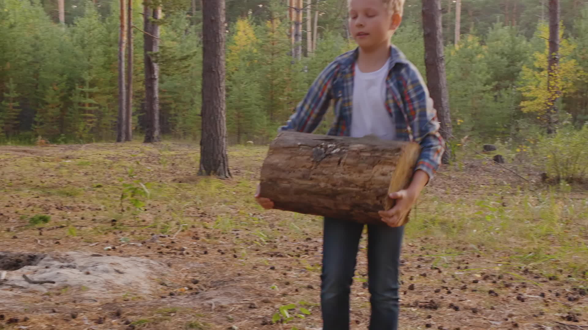 这个年轻的男孩用硬木在松树林里切肉视频的预览图