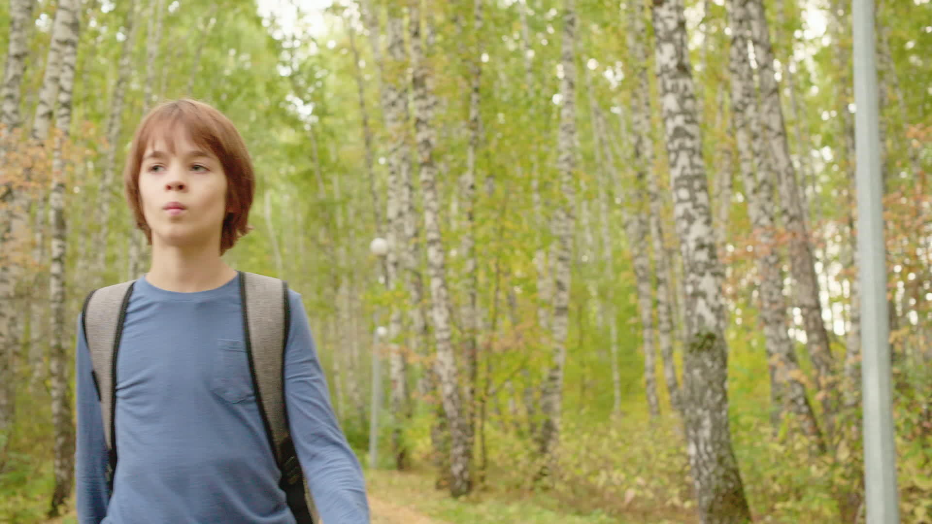 带着背包在美丽的森林里散步的年轻男孩视频的预览图