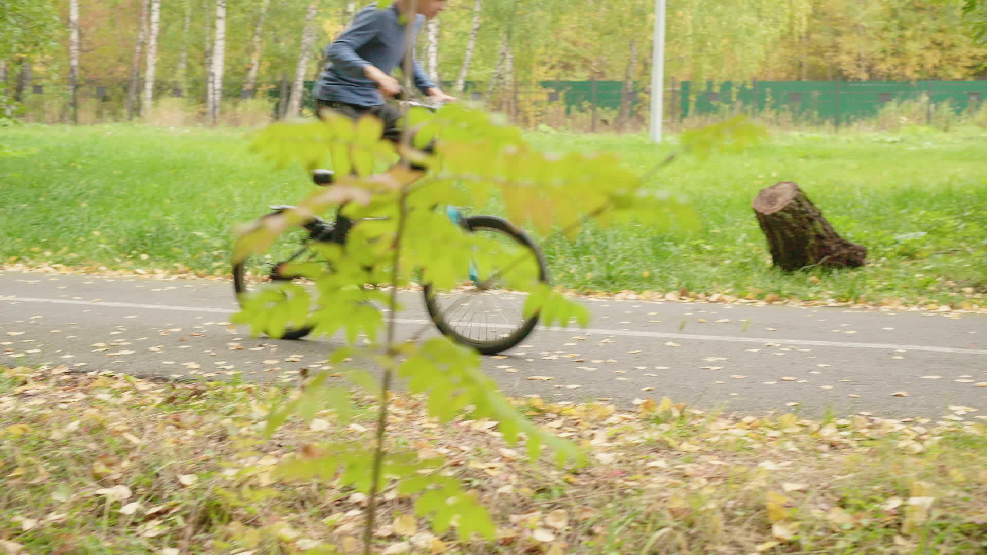 十几岁的男孩骑自行车在绿色夏季公园的道路上骑自行车视频的预览图
