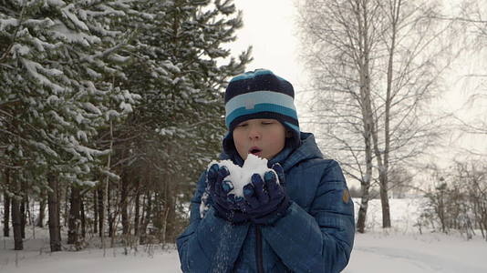 在冬天的森林公园里 年轻的男孩把雪吹倒在地上视频的预览图