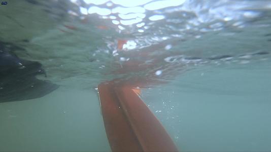 船桨水下视频的预览图