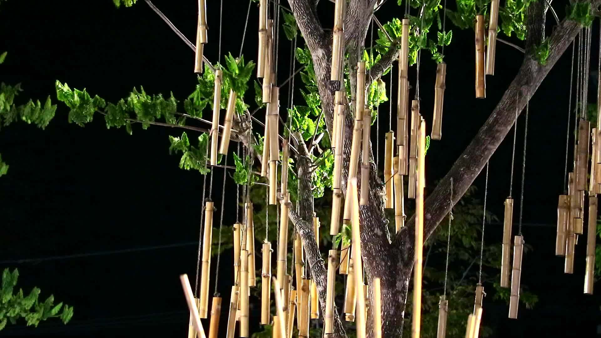 竹子挂在树上夜风摇摆视频的预览图