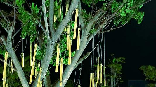 晚上许多竹子被装饰在阳台上视频的预览图