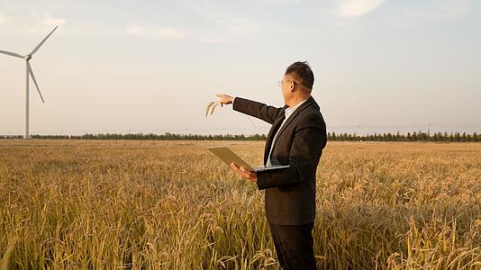 站在田野中查看水稻的研究人员视频的预览图