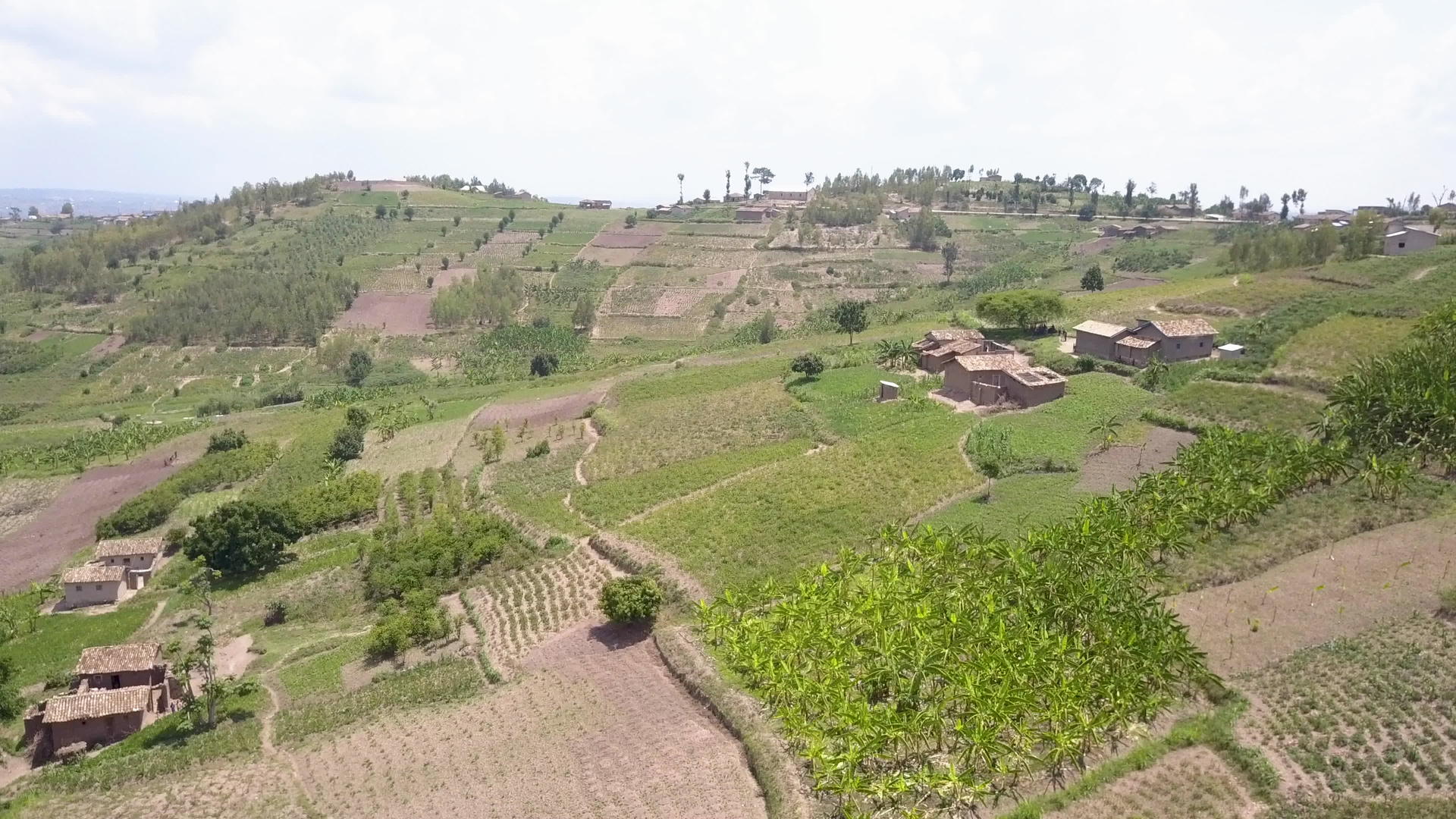 观察非洲农村肥沃地区上空的空气视频的预览图