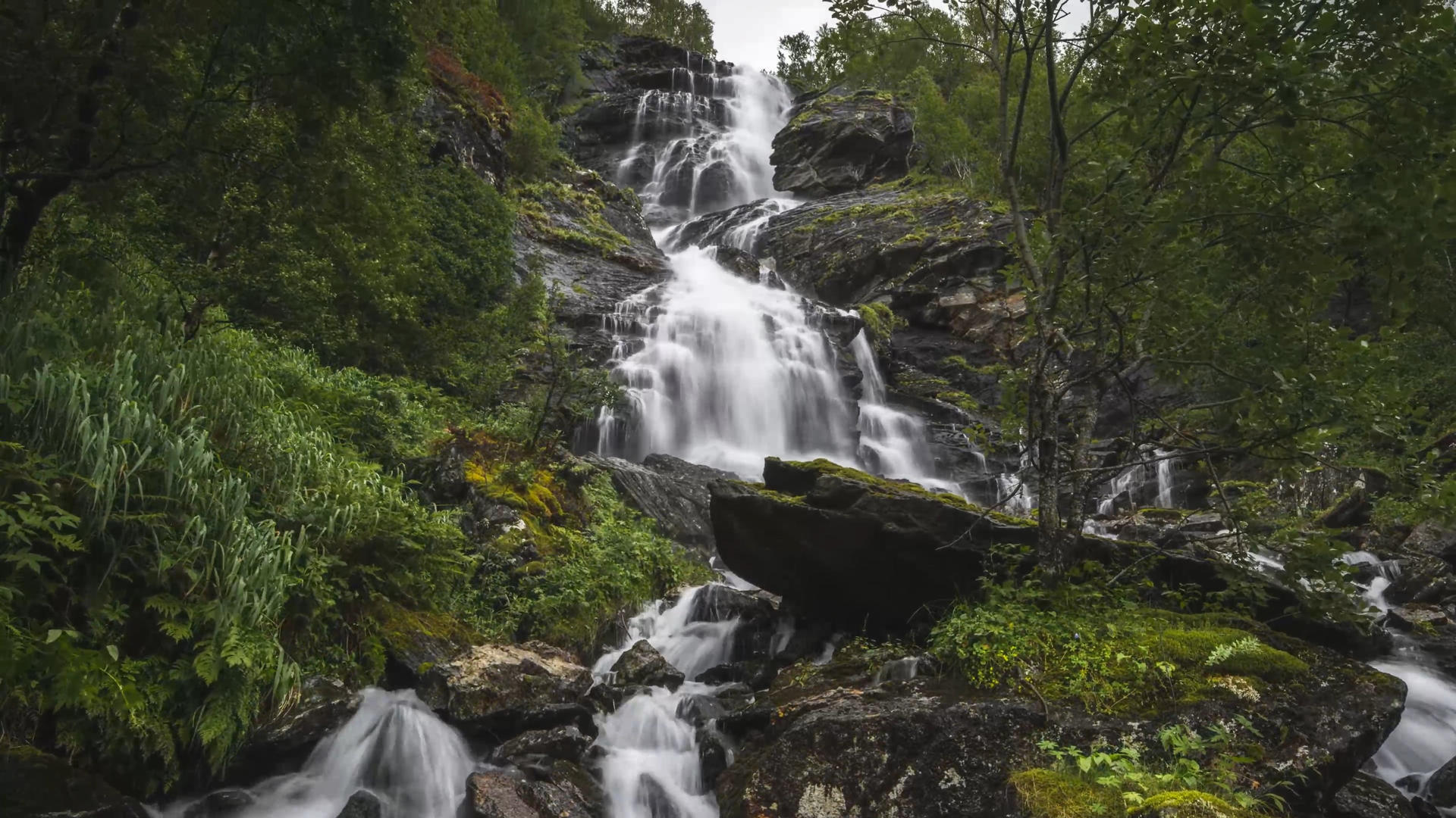 山泉瀑布流水视频的预览图