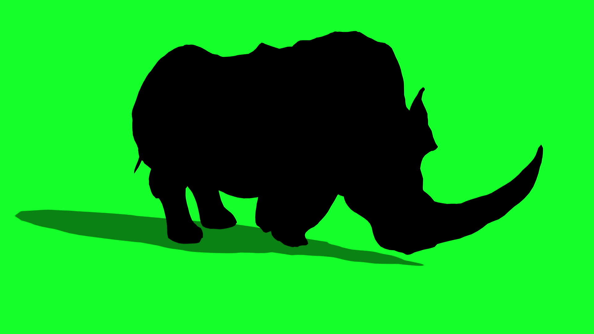 三D绿屏3d动画动物的闪光犀牛冲刺侧面绿色屏幕视频的预览图