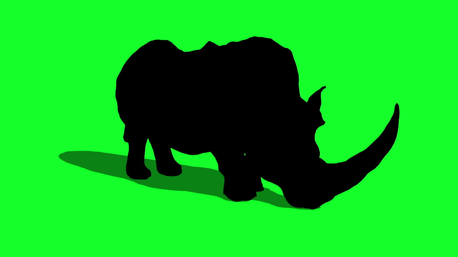 绿屏3D攻击形成动物的绿色屏幕3d而Shichceros视频的预览图