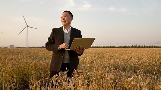 站在田野中研究水稻的农业技术人员视频的预览图
