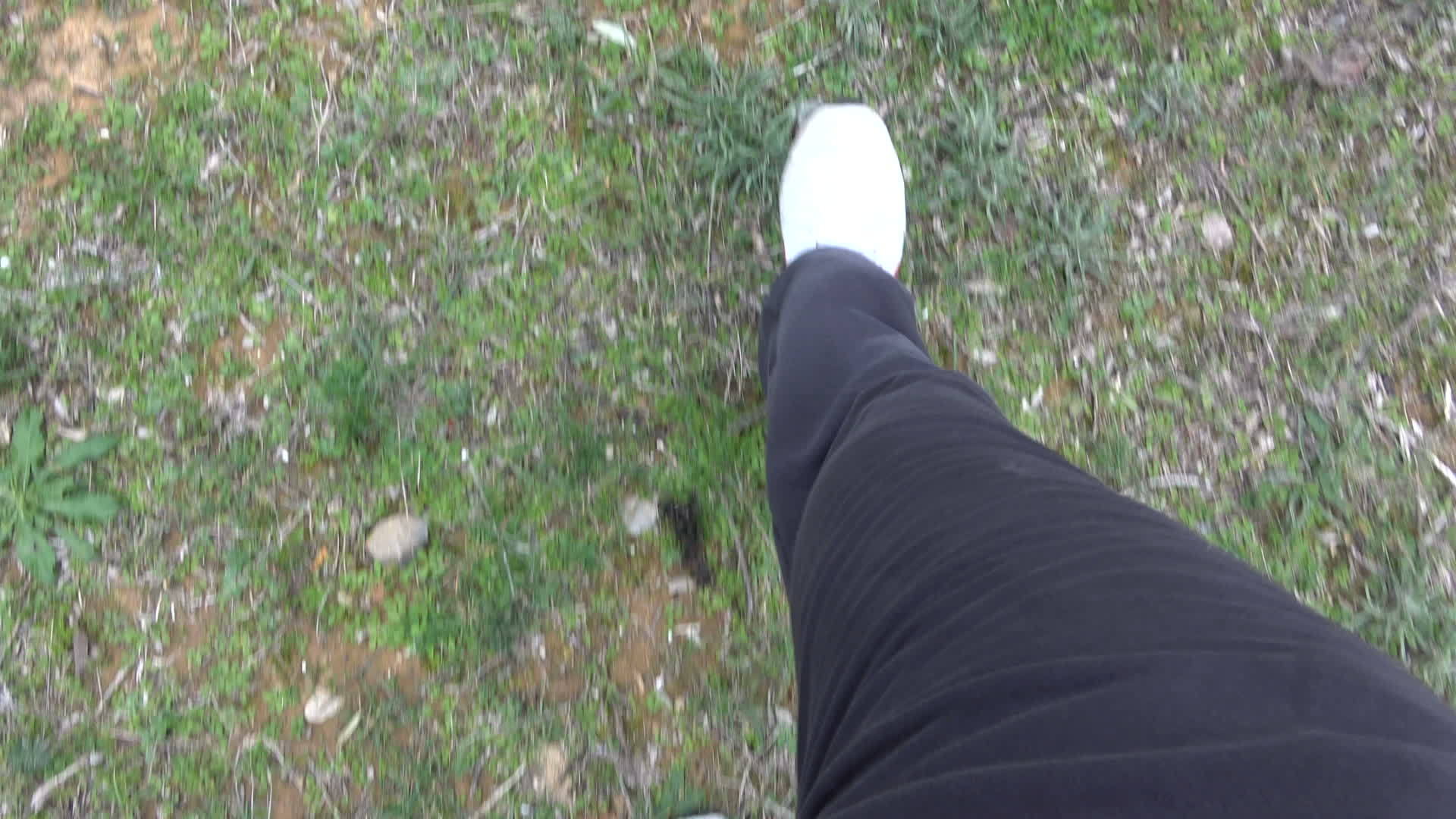 田里有白鞋走视频的预览图