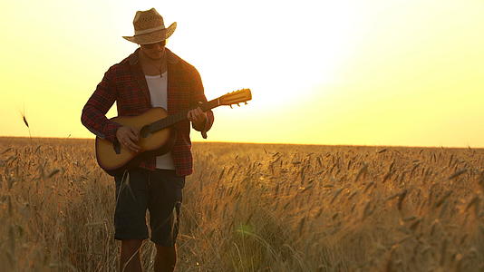 年轻人在日落的灯光下走在金色的麦田里带着弹吉他自由的概念视频的预览图