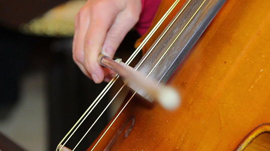 女人玩大提琴2视频的预览图